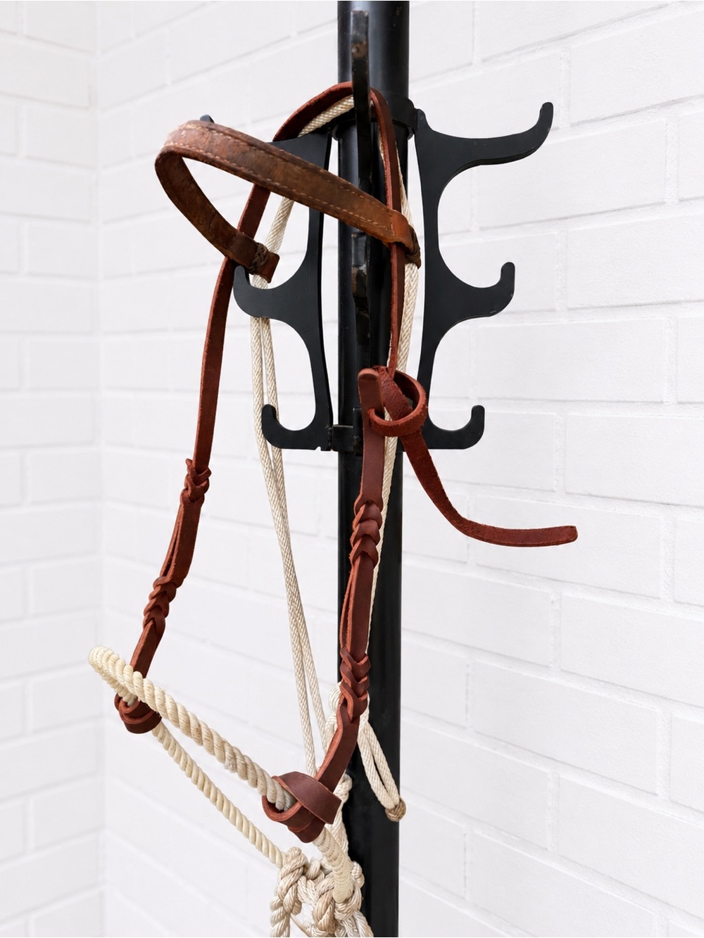 Loping Hackamore - Bosal - Picture 3 of 4